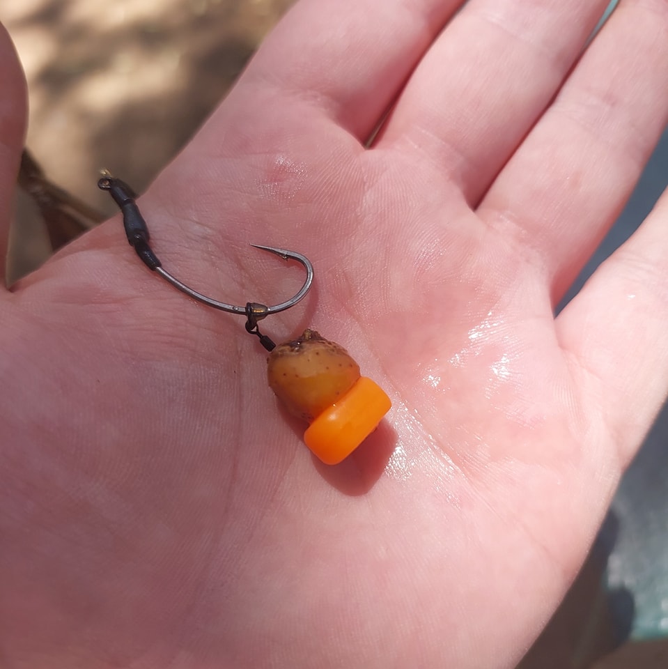 Slab Hunters catch 1